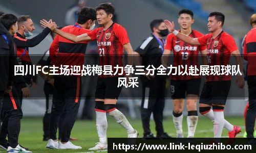 四川FC主场迎战梅县力争三分全力以赴展现球队风采